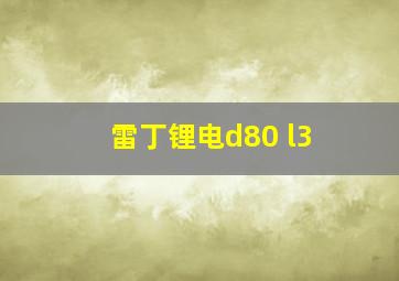 雷丁锂电d80 l3